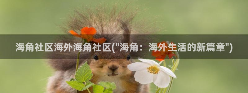 海角社区注册账号格式：海角社区海外海角社区(\