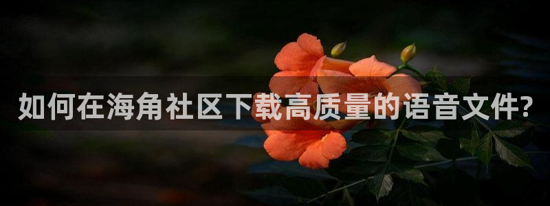 苹果海角社区下载：如何在海角社区下载高质量的语音文件?