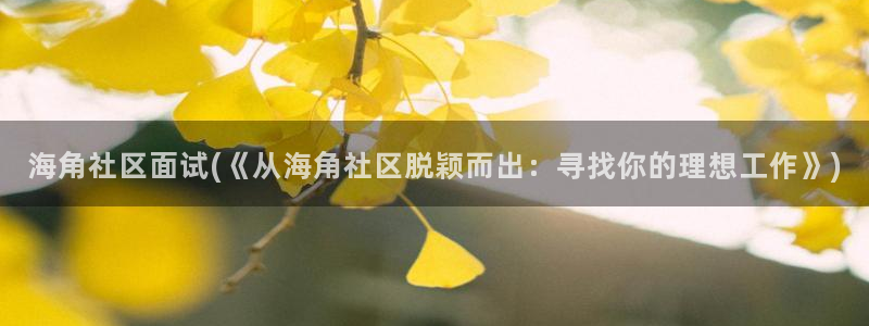 海角社区hj9d9：海角社区面试(《从海角社区脱颖而出：寻找你的理想工作》)