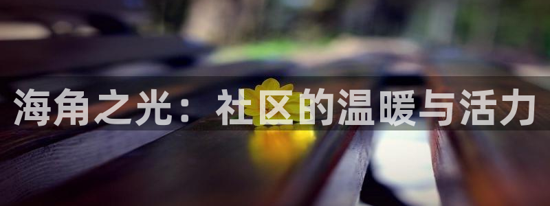 海角社区网站入口登录：海角之光：社区的温暖与活力