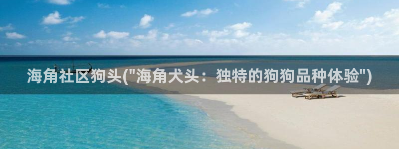 海角社区注册入口：海角社区狗头(\