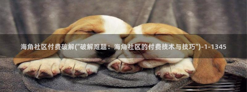 海角社区hj在线登：海角社区付费破解(\