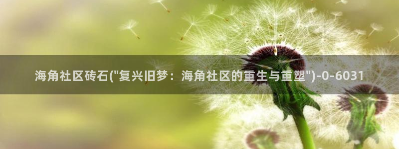 海角社区密码错误：海角社区砖石(\