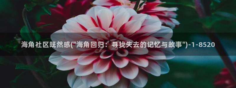 国海角社区：海角社区既然感(\