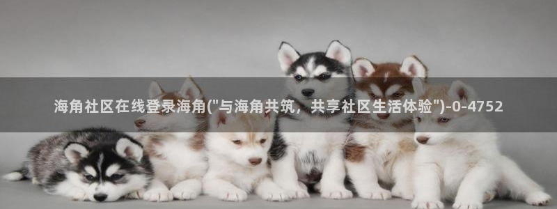 海角社区论坛账号分享：海角社区在线登录海角(\